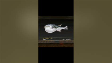 fish yakuza 0|yakuza 0 fish list.